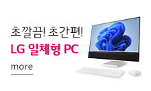 LG 일체형 PC