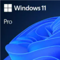 Windows 11 Pro FPP  64-bit Korean USB (처음사용자용, 한글, USB)